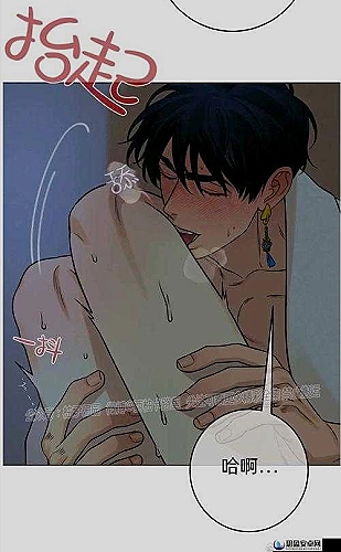 裂星轨道